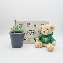 Load image into Gallery viewer, Teddy Bear &amp; Succulent Gift Box
