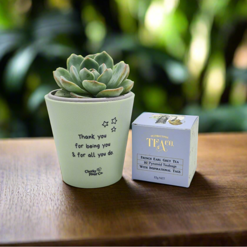 Employee Thank You For Everything Gift Box