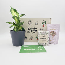 Load image into Gallery viewer, Housewarming - Plant Gift Box
