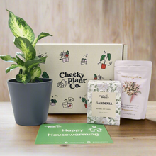 Load image into Gallery viewer, Housewarming - Plant Gift Box
