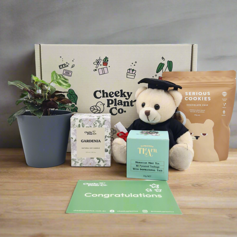 Graduation - Plant Gift Box