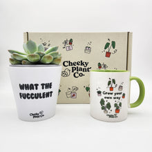 Load image into Gallery viewer, Cheeky Motivation - Succulent Gift Box
