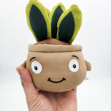 Load image into Gallery viewer, Plant Lovers - Succulent Gift Box
