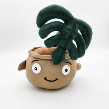 Load image into Gallery viewer, Cheeky Plant Plushie
