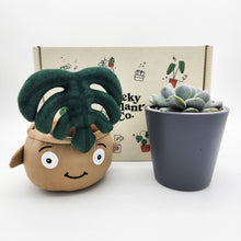 Load image into Gallery viewer, Cheeky Monstera Plant Plushie &amp; Succulent Gift Box

