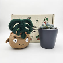 Load image into Gallery viewer, Monstera Plant Plushie &amp; Succulent Gift Box
