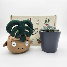 Load image into Gallery viewer, Monstera Plant Plushie &amp; Succulent Gift Box

