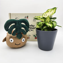 Load image into Gallery viewer, Plushie &amp; Plant Gift Box
