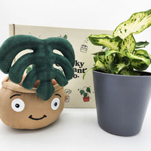 Load image into Gallery viewer, Plushie &amp; Plant Gift Box
