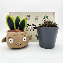 Load image into Gallery viewer, Snake Plant Plushie &amp; Succulent Gift Box
