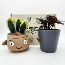 Load image into Gallery viewer, Plushie &amp; Plant Gift Box

