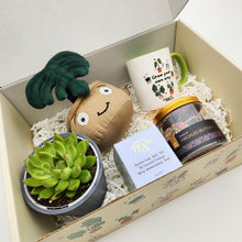 Load image into Gallery viewer, Happy Birthday - Succulent Gift Box
