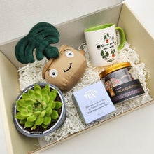 Load image into Gallery viewer, Happy Birthday - Succulent Gift Box
