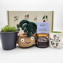 Load image into Gallery viewer, Happy Birthday - Succulent Gift Box
