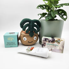 Load image into Gallery viewer, Happy Birthday Plant Hamper - Sydney Only
