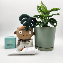 Load image into Gallery viewer, Happy Birthday Plant Hamper - Sydney Only
