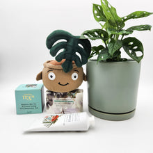 Load image into Gallery viewer, Happy Birthday Plant Hamper - Sydney Only
