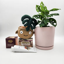 Load image into Gallery viewer, Happy Birthday Plant Hamper - Sydney Only
