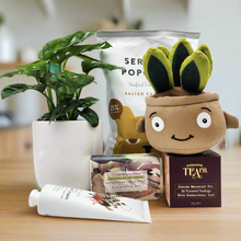 Load image into Gallery viewer, Best Birthday - Assorted Plant Gift Hamper - Sydney Only
