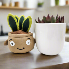 Load image into Gallery viewer, Succulent &amp; Plant Plushie Gift - Sydney Only

