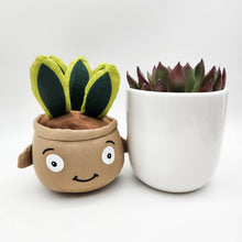 Load image into Gallery viewer, Succulent &amp; Plant Plushie Gift - Sydney Only
