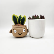 Load image into Gallery viewer, Succulent &amp; Plant Plushie Gift - Sydney Only
