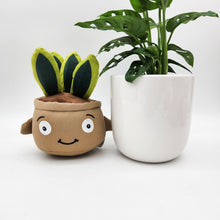 Load image into Gallery viewer, Potted Plant and Plant Plushie Gift - 120mm - Sydney Only
