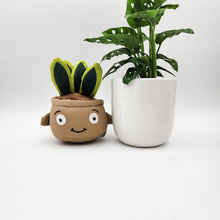 Load image into Gallery viewer, Potted Plant and Plant Plushie Gift - 120mm - Sydney Only
