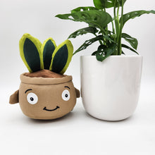Load image into Gallery viewer, Potted Plant and Plant Plushie Gift - 120mm - Sydney Only
