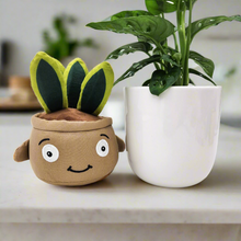 Load image into Gallery viewer, Potted Plant and Plant Plushie Gift - 120mm - Sydney Only
