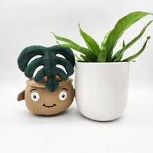 Load image into Gallery viewer, Potted Plant and Plant Plushie Gift - 120mm - Sydney Only
