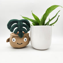 Load image into Gallery viewer, Potted Plant and Plant Plushie Gift - 120mm - Sydney Only
