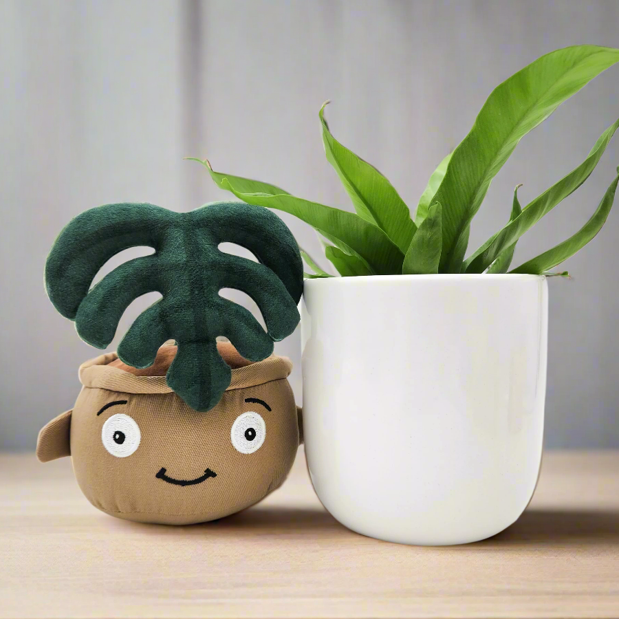Potted Plant and Plant Plushie Gift - 120mm - Sydney Only