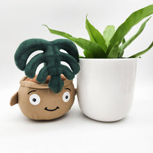 Load image into Gallery viewer, Potted Plant and Plant Plushie Gift - 120mm - Sydney Only
