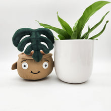 Load image into Gallery viewer, Potted Plant and Plant Plushie Gift - 120mm - Sydney Only
