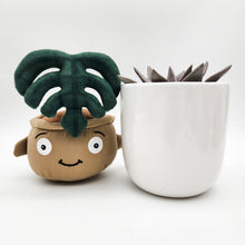 Load image into Gallery viewer, Succulent &amp; Plant Plushie Gift - Sydney Only
