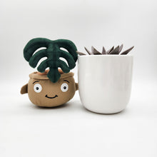 Load image into Gallery viewer, Succulent &amp; Plant Plushie Gift - Sydney Only
