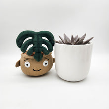 Load image into Gallery viewer, Succulent &amp; Plant Plushie Gift - Sydney Only
