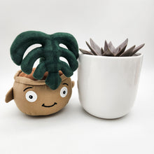 Load image into Gallery viewer, Succulent &amp; Plant Plushie Gift - Sydney Only
