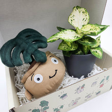 Load image into Gallery viewer, Plushie &amp; Plant Gift Box
