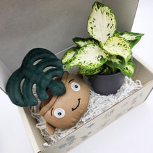 Load image into Gallery viewer, Plushie &amp; Plant Gift Box
