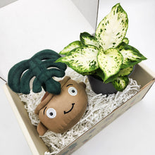 Load image into Gallery viewer, Plushie &amp; Plant Gift Box
