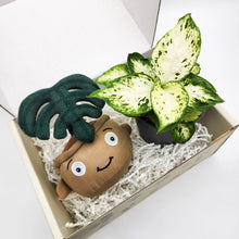 Load image into Gallery viewer, Plushie &amp; Plant Gift Box
