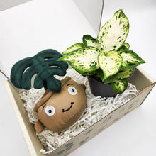 Load image into Gallery viewer, Plushie &amp; Plant Gift Box

