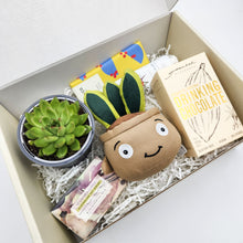 Load image into Gallery viewer, Pamper - Succulent Hamper / Succulent Gift Box
