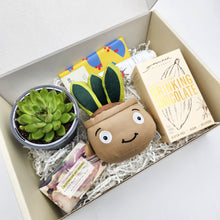 Load image into Gallery viewer, Pamper - Succulent Hamper / Succulent Gift Box

