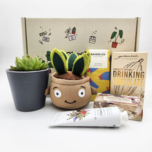 Load image into Gallery viewer, Pamper - Succulent Hamper / Succulent Gift Box
