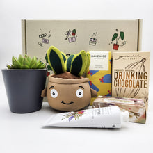 Load image into Gallery viewer, Pamper - Succulent Hamper / Succulent Gift Box
