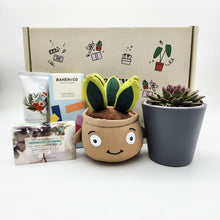 Load image into Gallery viewer, Happy Birthday - Succulent Hamper / Succulent Gift Box
