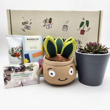 Load image into Gallery viewer, Happy Birthday - Succulent Hamper / Succulent Gift Box

